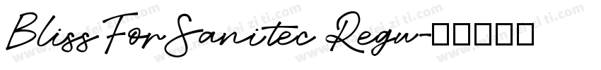 BlissForSanitec Regu字体转换